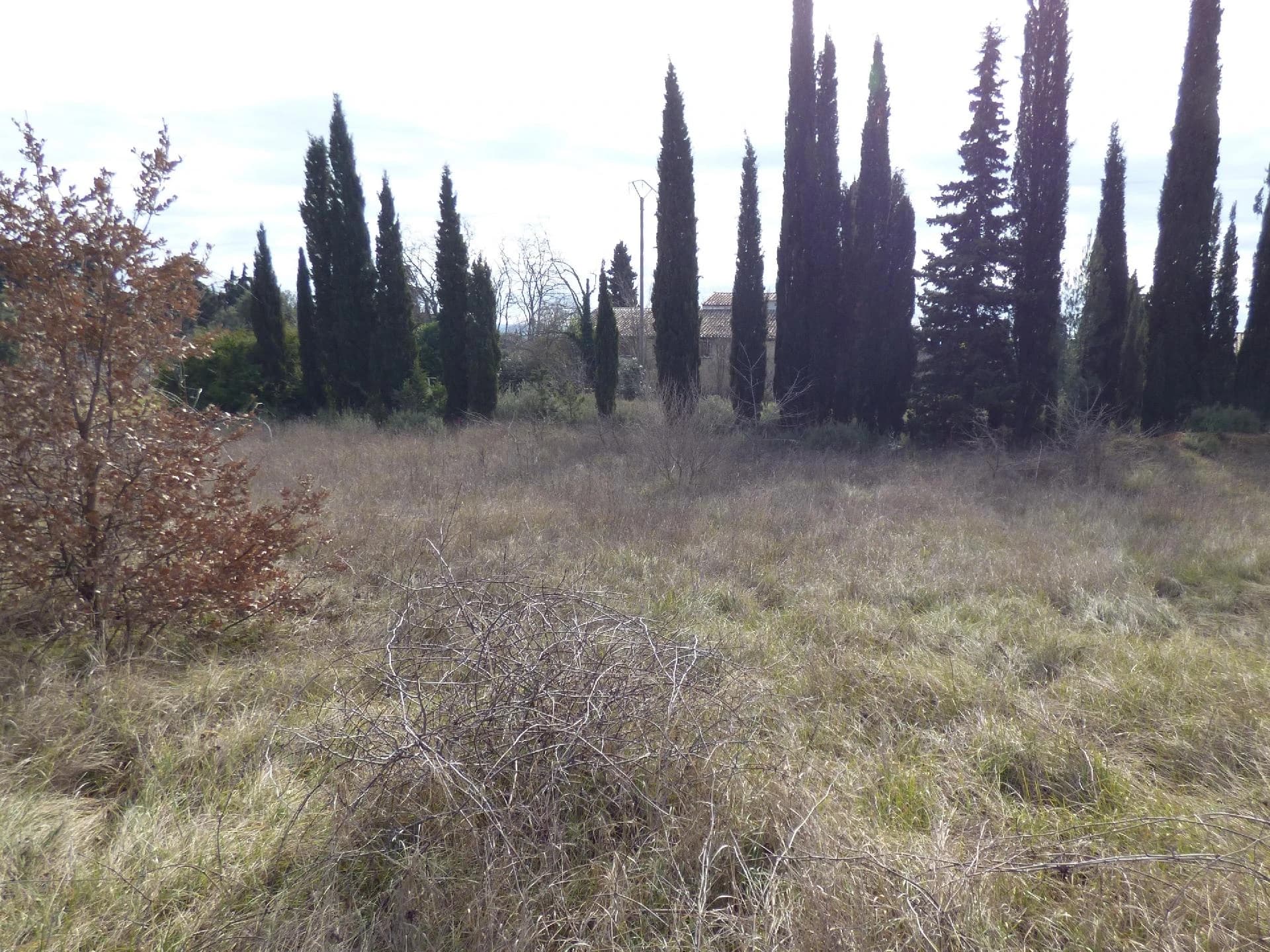 photo estate n°724197