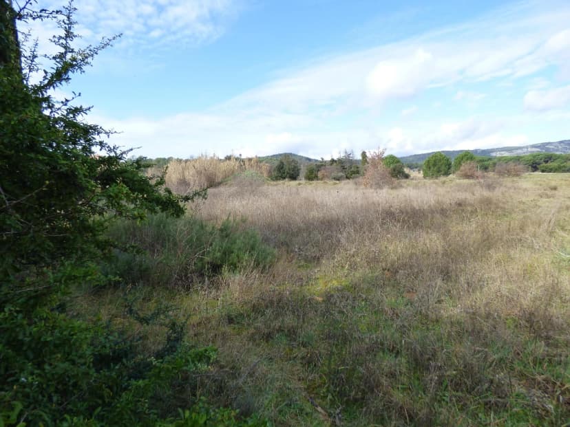 thumbnail of estate's photo